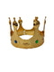BookMyCostume Royal Plastic King Crown for Kids with Shiny Metal Look & Stone Details - Crown for Boys, Fancy Dress Accessories for Halloween, Cosplay, and Theme Parties